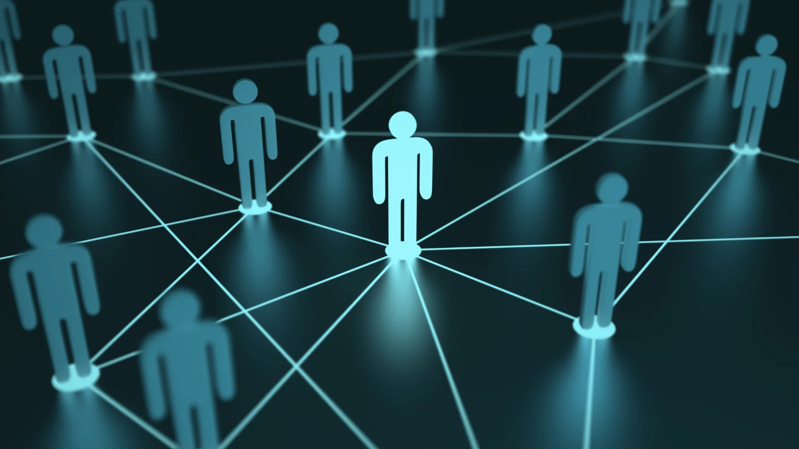 Ağ Kurma (Networking)